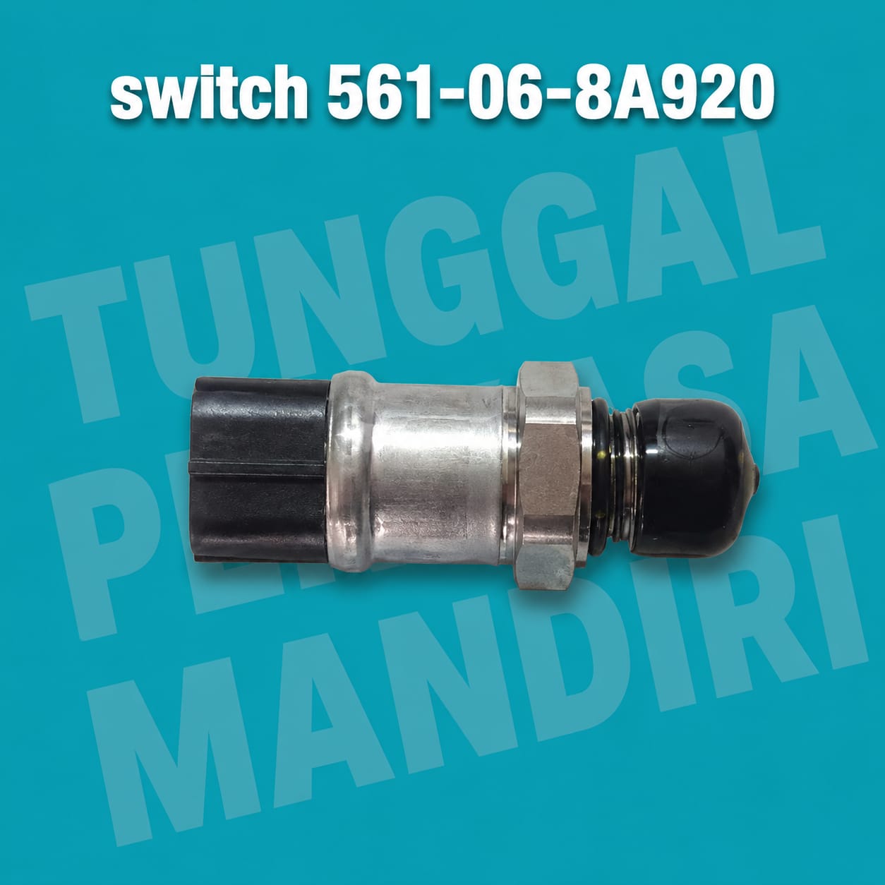 IMG-PRODUCT