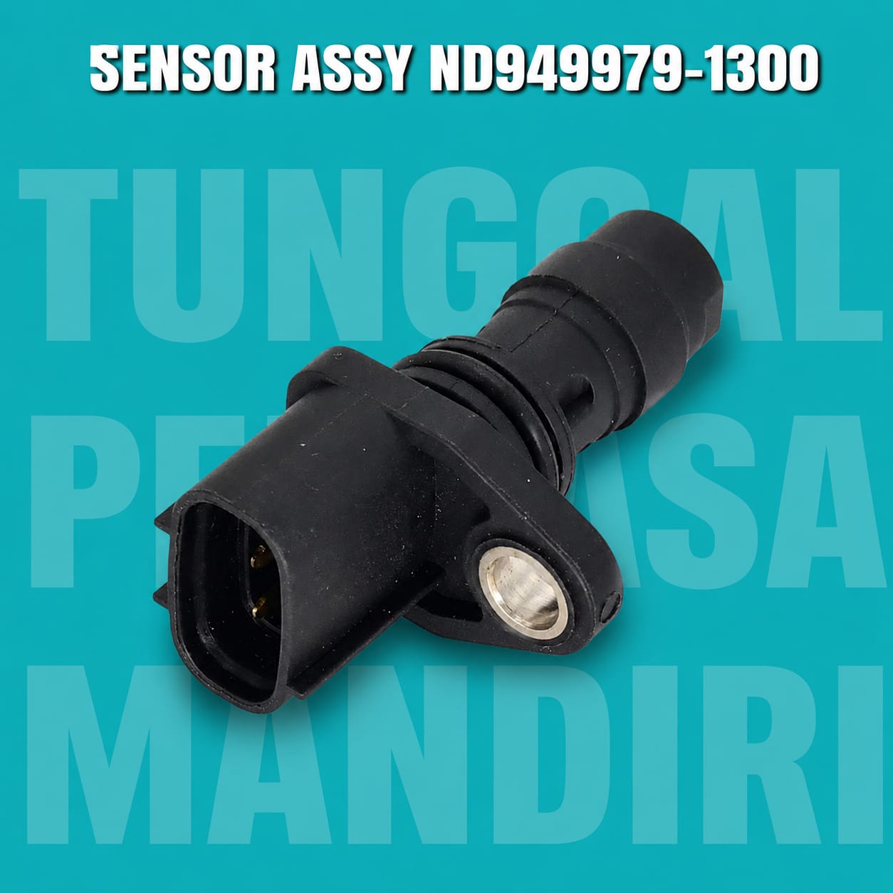 IMG-PRODUCT
